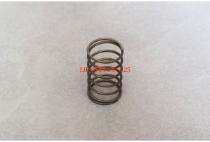 LÒ XO CỦA VAN GIẢM ÁP GAS MO0430