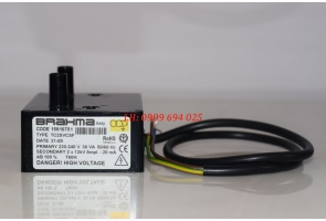 BIẾN THẾ ĐÁNH LỬA CỦA ĐẦU ĐỐT GAS TC2SVCSF