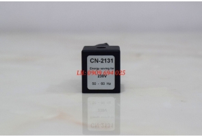 GIẮC CẮM CỦA VAN TỪ ĐIỀU CHỈNH ÁP LỰC GAS ĐẦU ĐỐT CN-2131