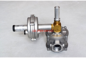 VAN AN TOÀN MADAS MVB/1 MAX DN25 (P2: 30-450 mbar)