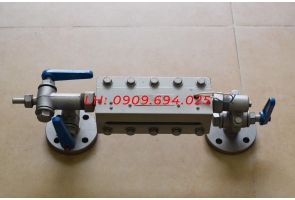 DỤNG CỤ ĐO LƯU LƯỢNG HƠI B49H-25