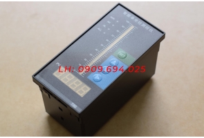BỘ HIỂN THỊ MỰC CHẤT LỎNG T80 230V-50Hz